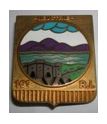 insigne du 10e régiment d'infanterie de forteresse